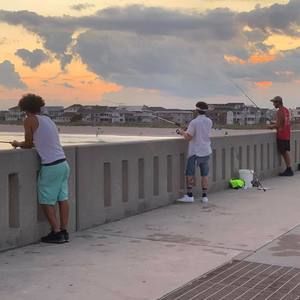 Meet your Posher, Tony